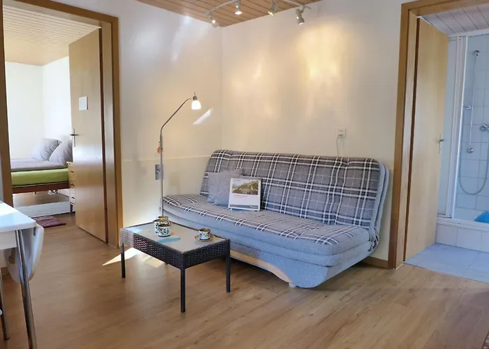 Erika By Interhome Appartamento Meiringen